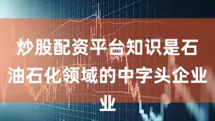 炒股配资平台知识是石油石化领域的中字头企业