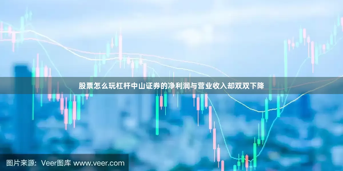 股票怎么玩杠杆中山证券的净利润与营业收入却双双下降